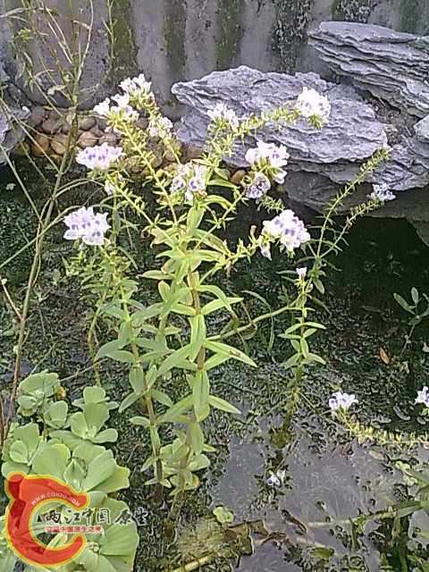 20101023060.jpg