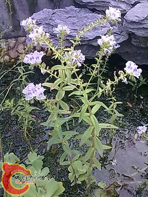20101023061.jpg