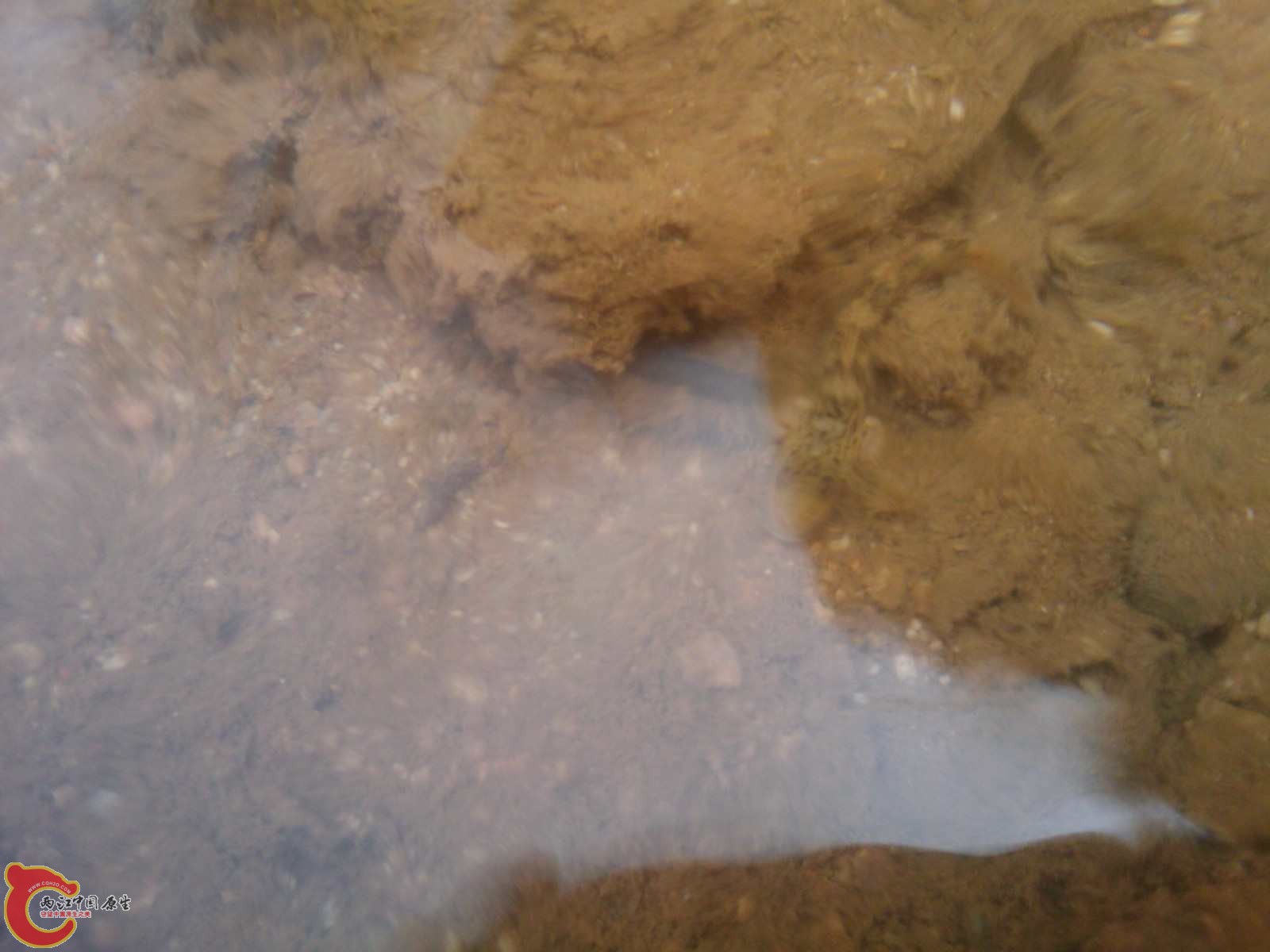 C360_2011-03-13 12-53-23.jpg