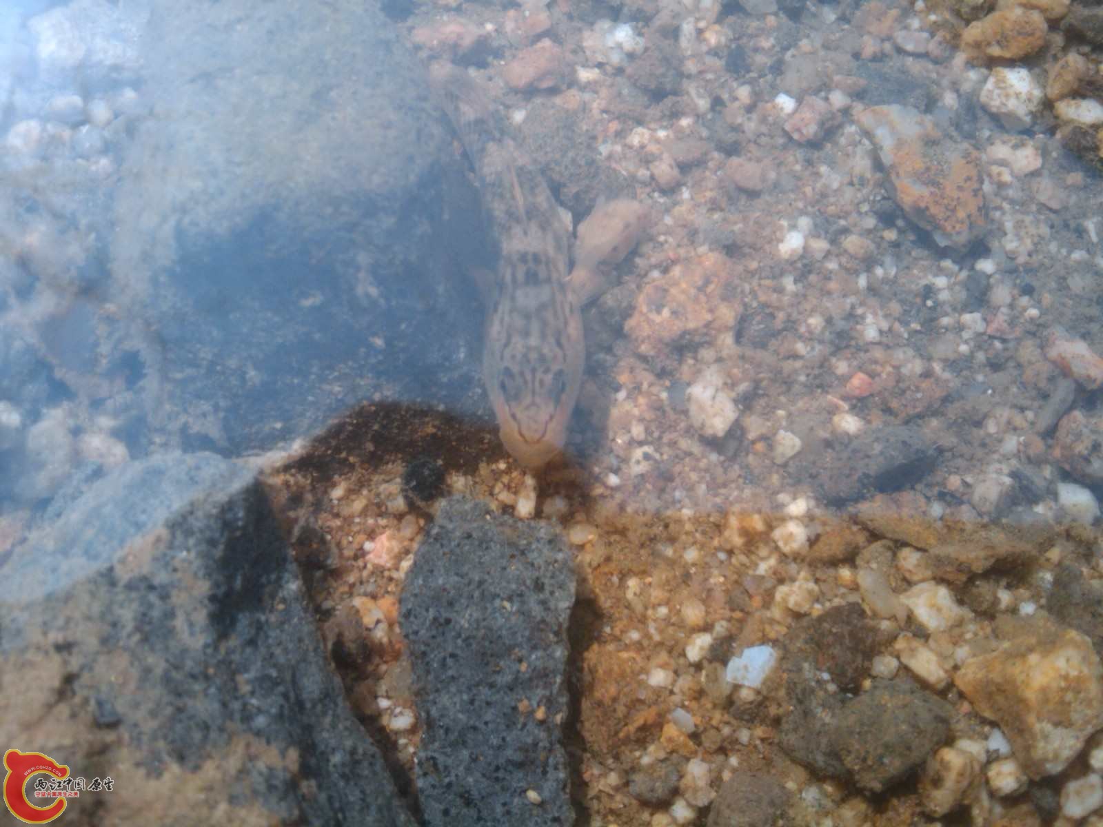 C360_2011-03-13 13-09-54.jpg