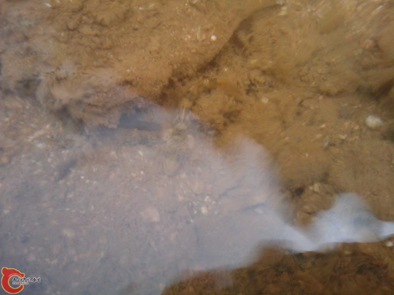 C360_2011-03-13 12-53-40.jpg