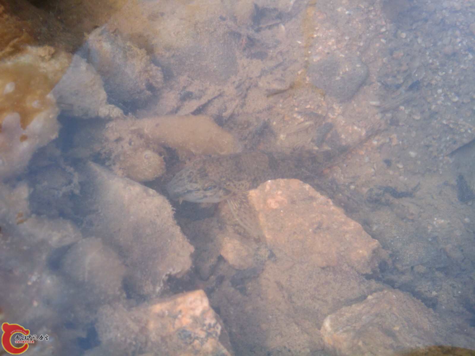 C360_2011-03-13 13-21-59.jpg