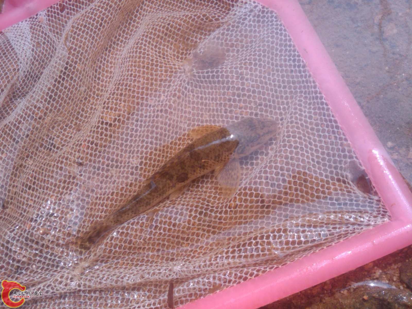 C360_2011-03-13 13-21-44.jpg