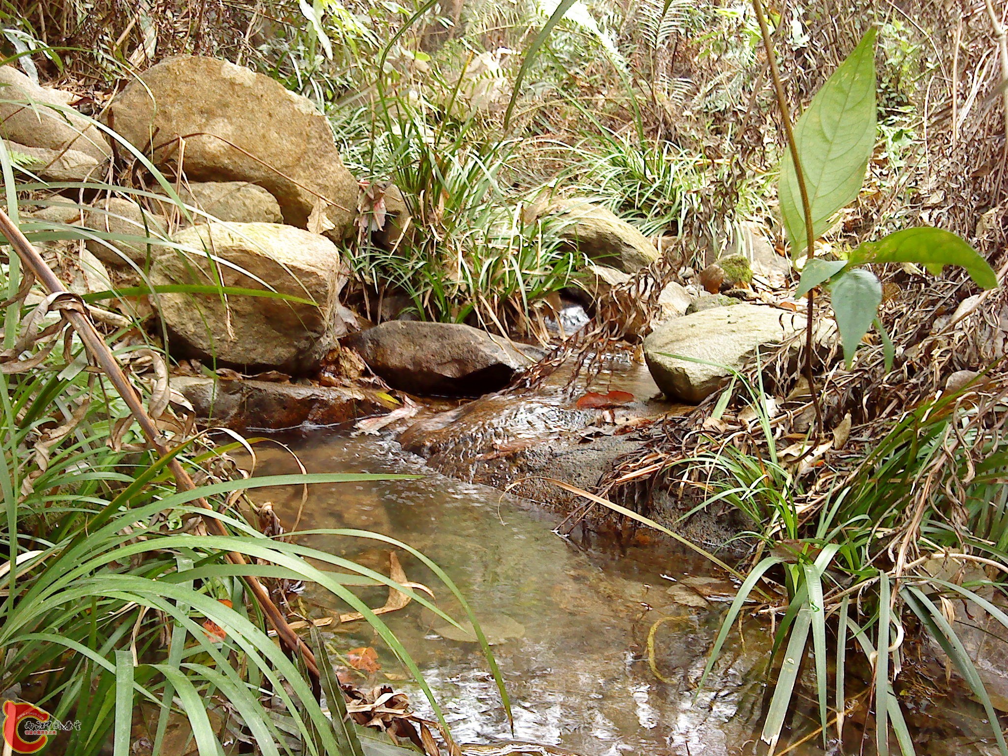 DSC00111.JPG