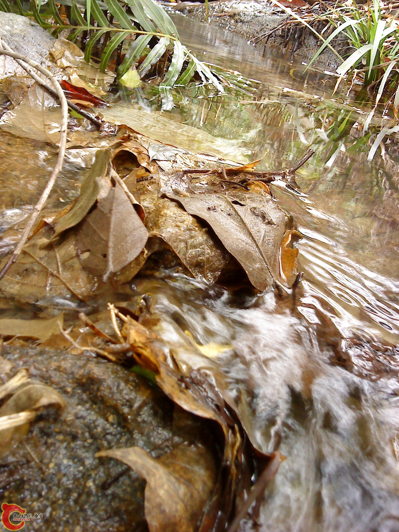 DSC00112.JPG
