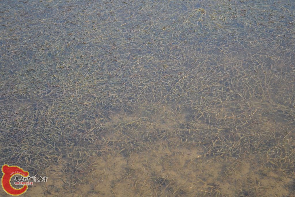 20110312108.JPG