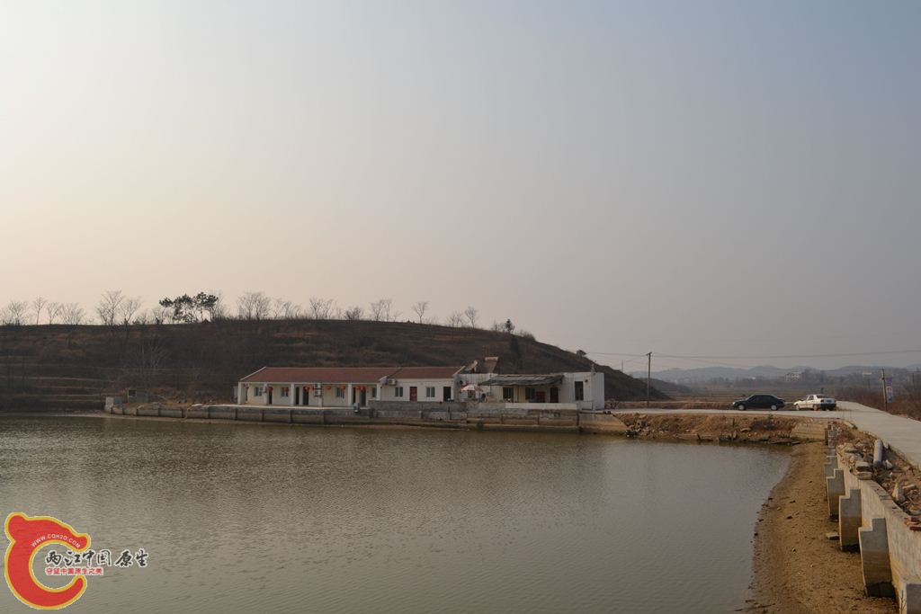 20110312134.JPG