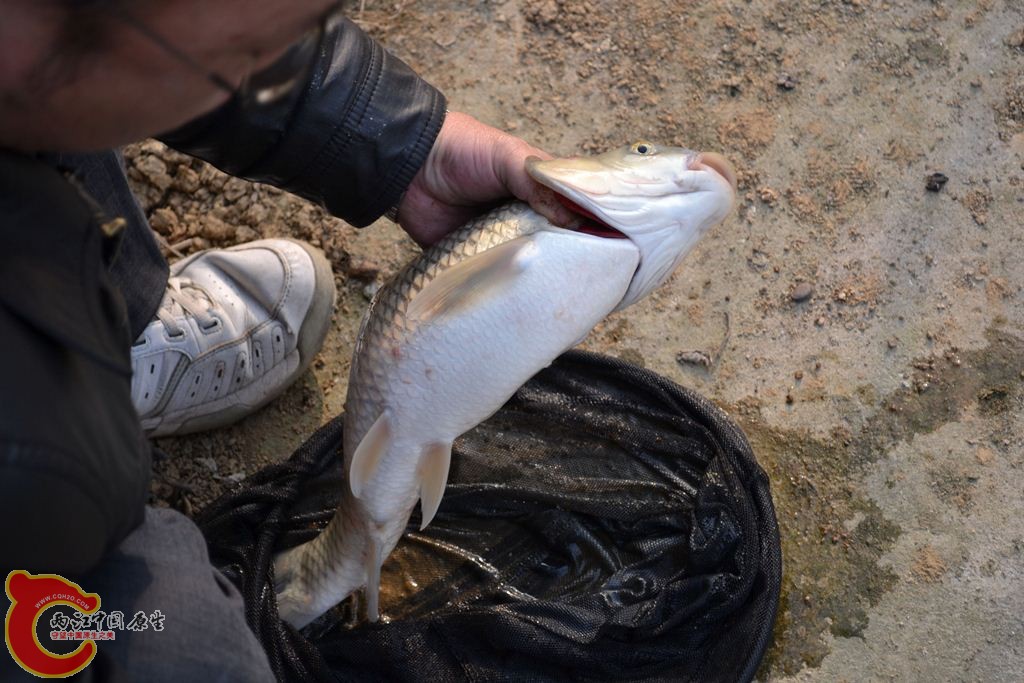20110312147.JPG