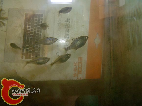 100_4622.JPG