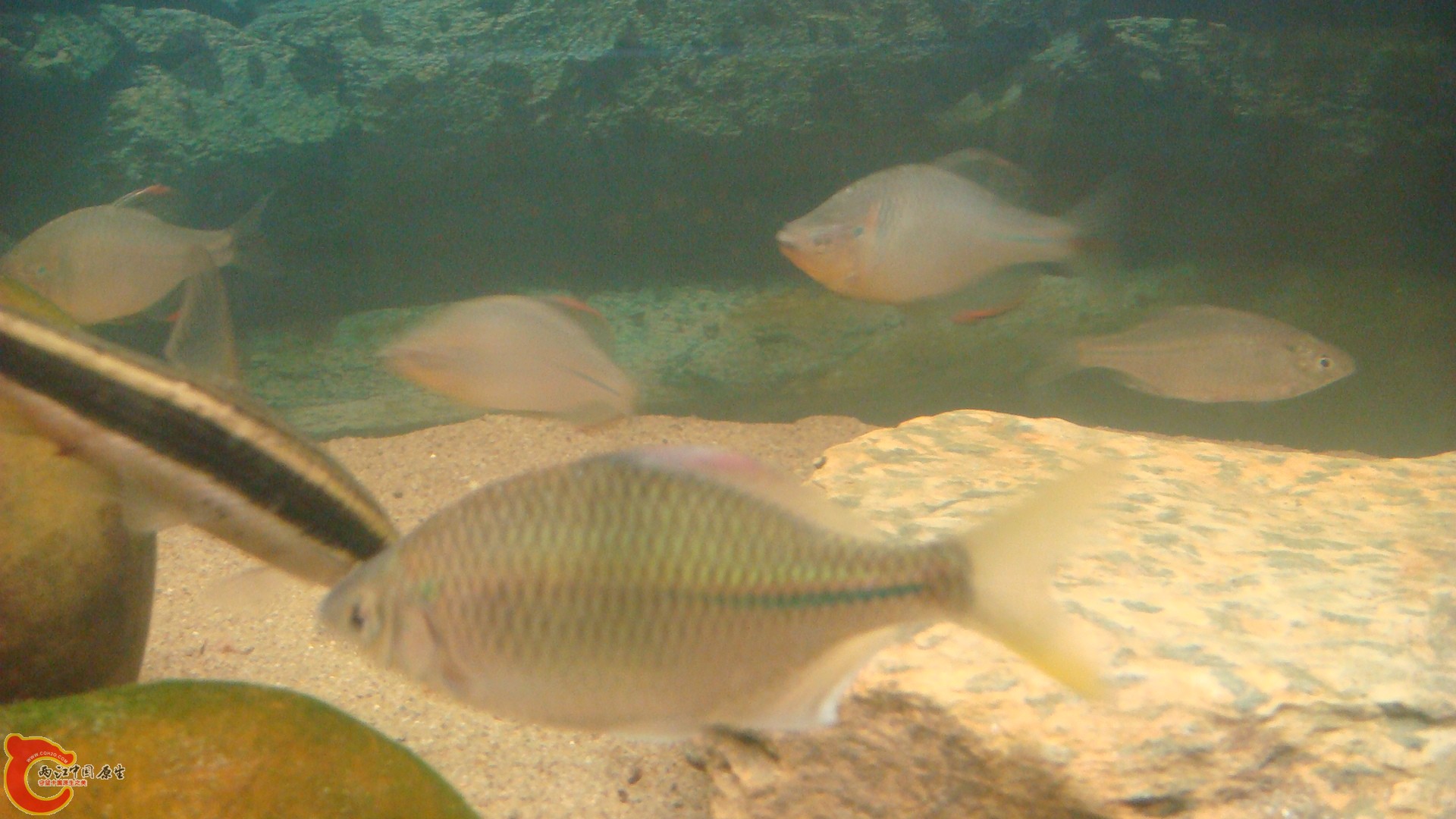 DSC08728.JPG