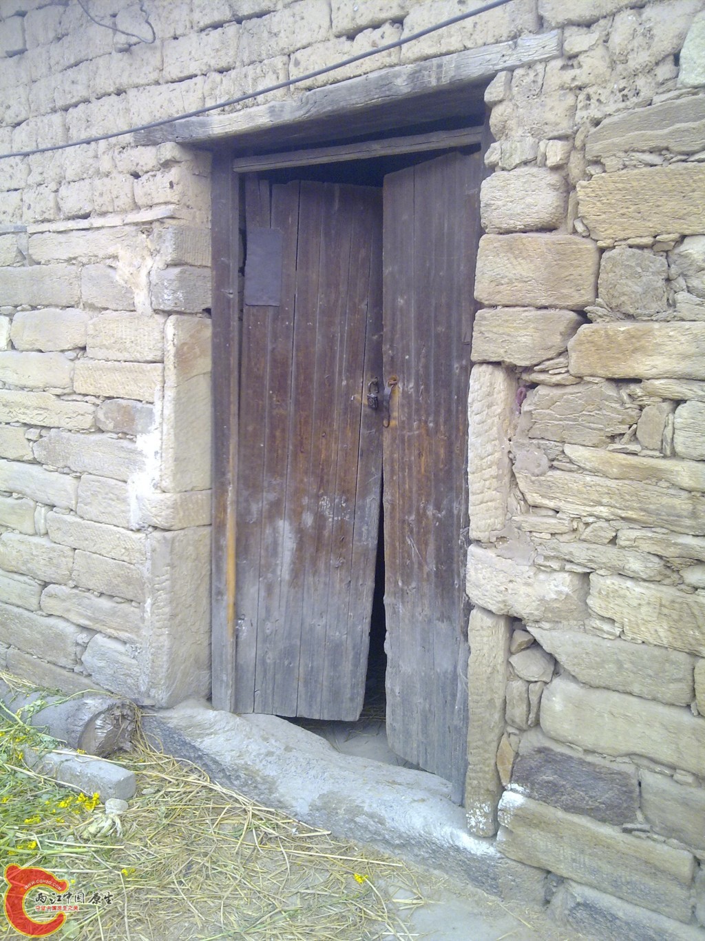 conew_20100404189.jpg