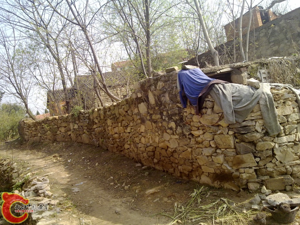conew_20100404225.jpg