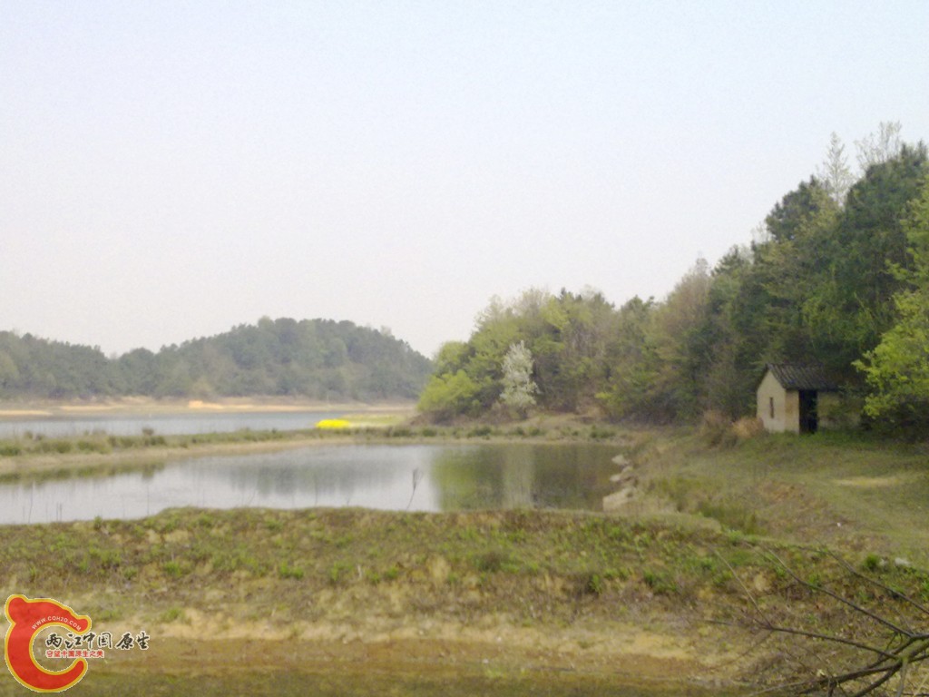 conew_20100404233.jpg