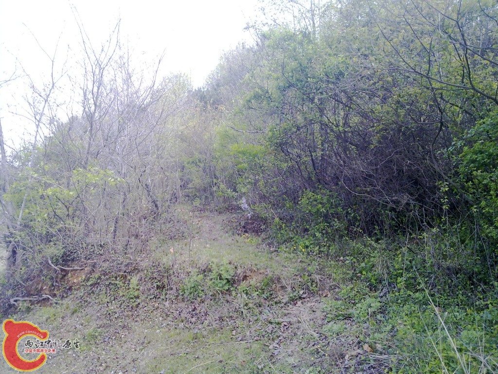 conew_20100404236.jpg