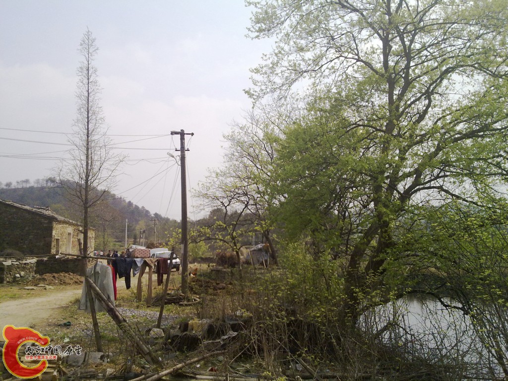 conew_20100404237.jpg