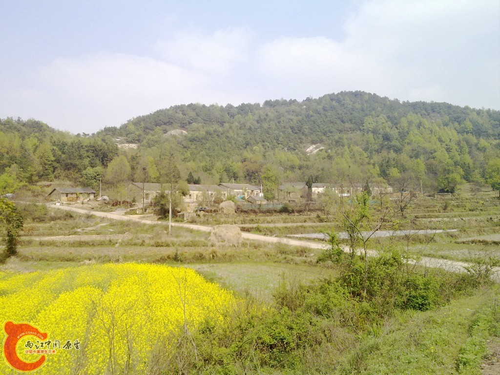 conew_20100404241.jpg
