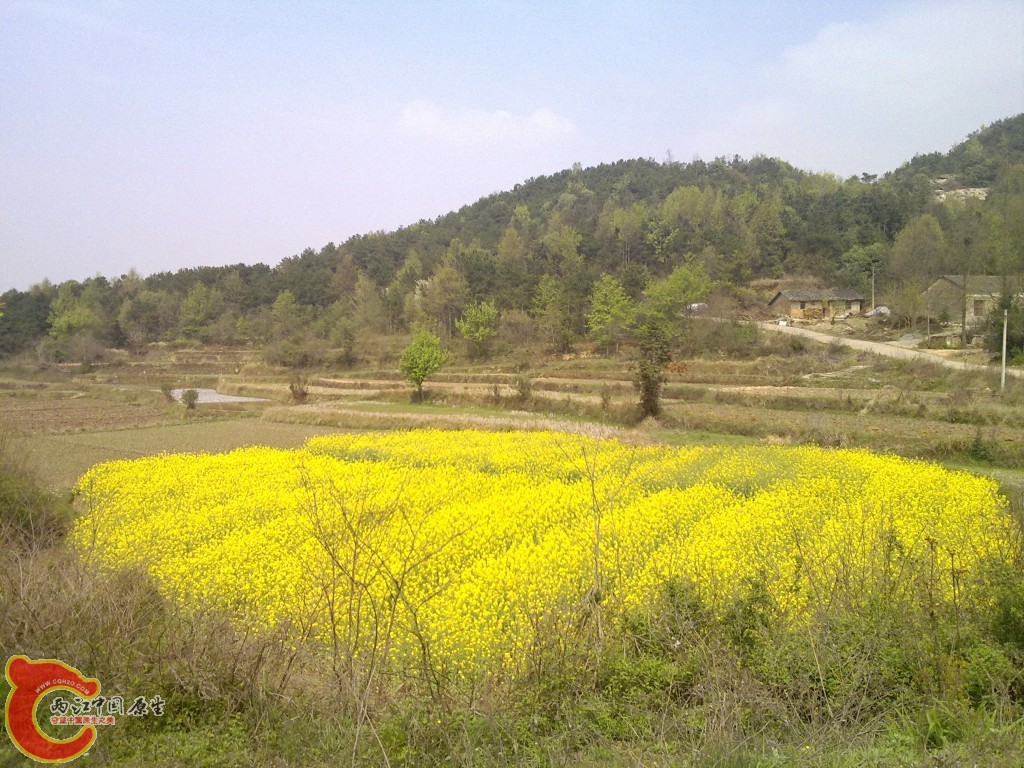 conew_20100404242.jpg