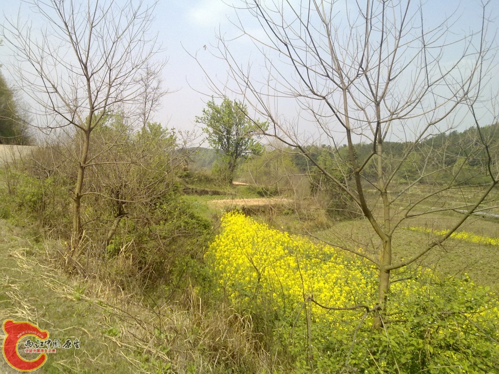 conew_20100404244.jpg
