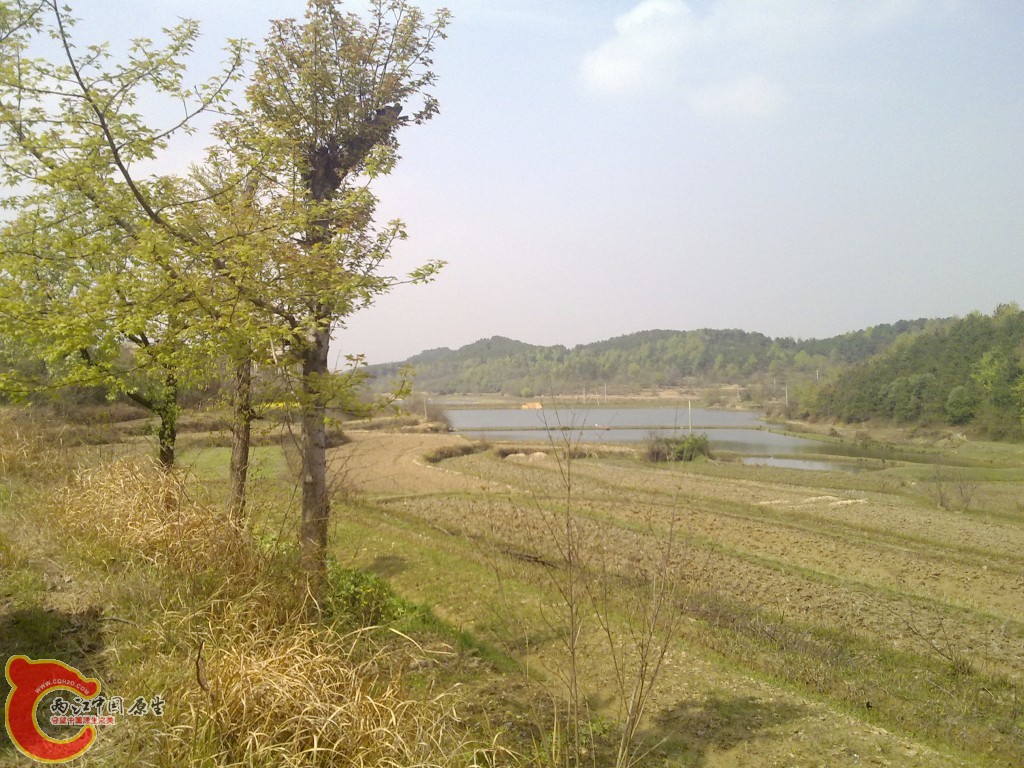 conew_20100404245.jpg