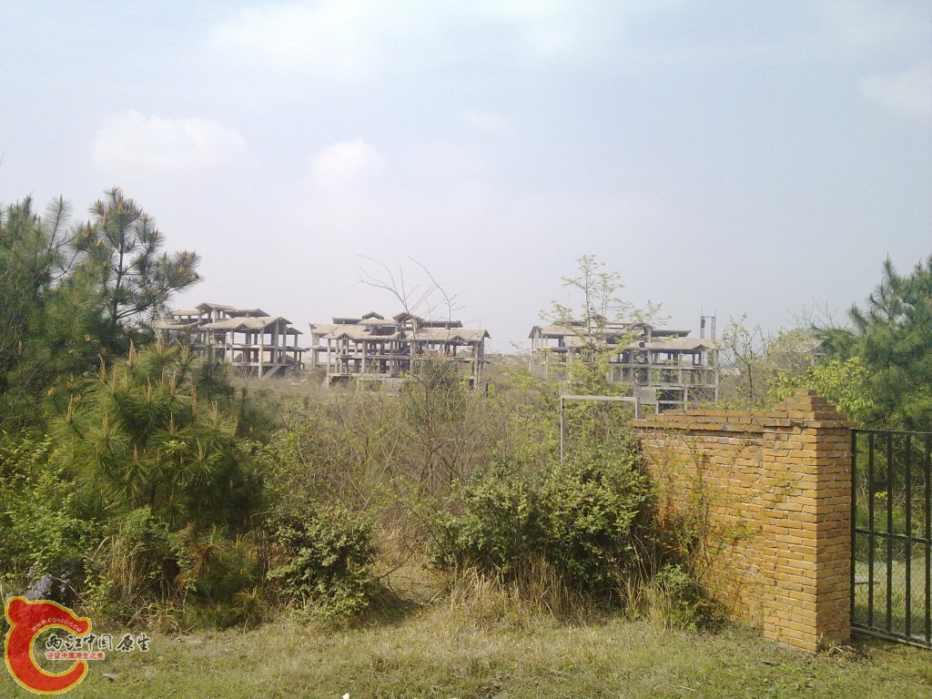 conew_20100404248.jpg