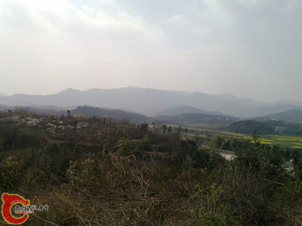 conew_20100404252.jpg
