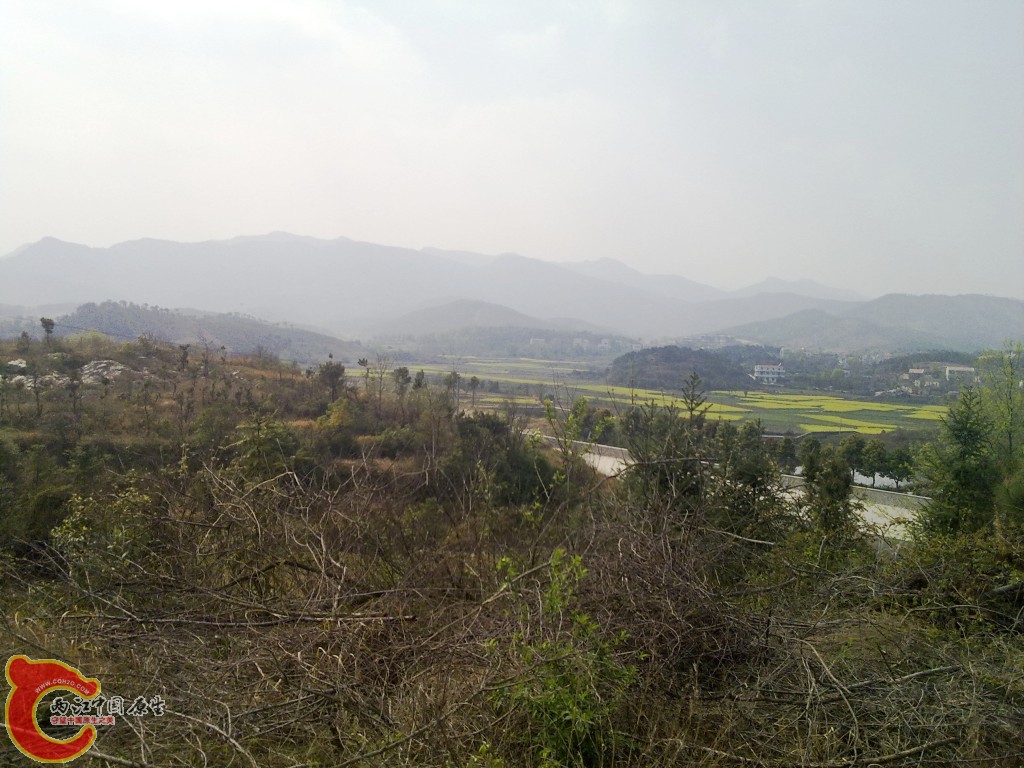 conew_20100404253.jpg