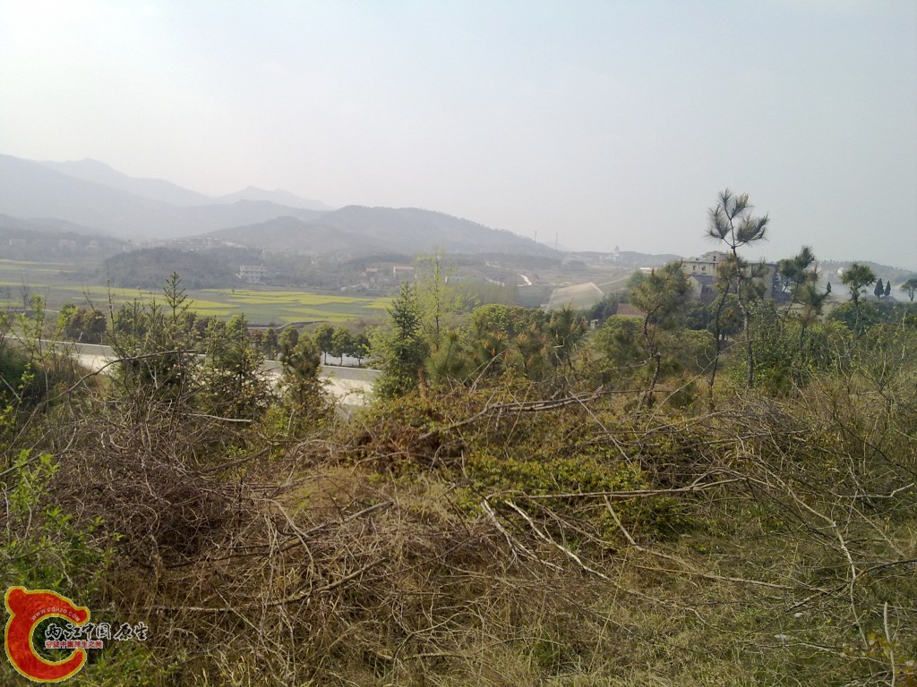 conew_20100404254.jpg