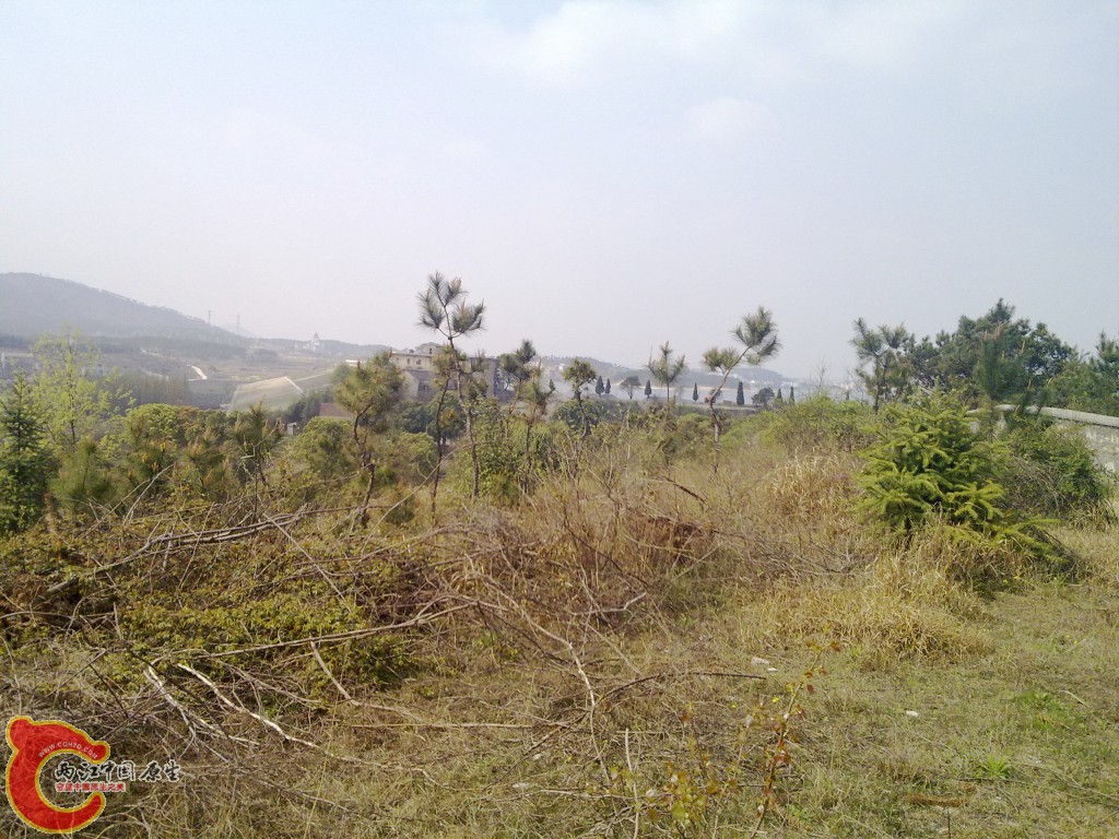 conew_20100404255.jpg