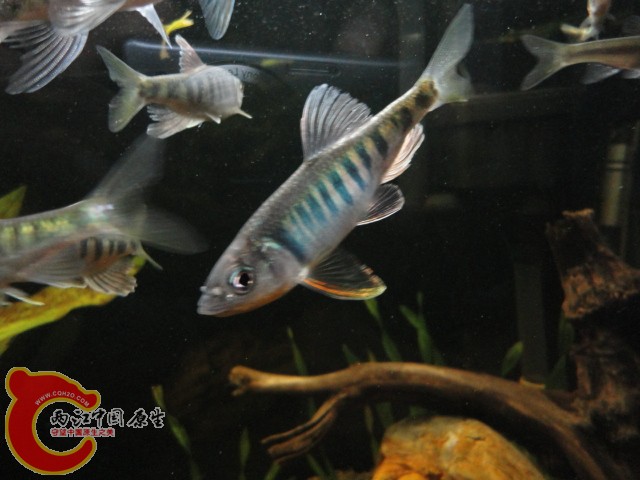 DSC00714.JPG