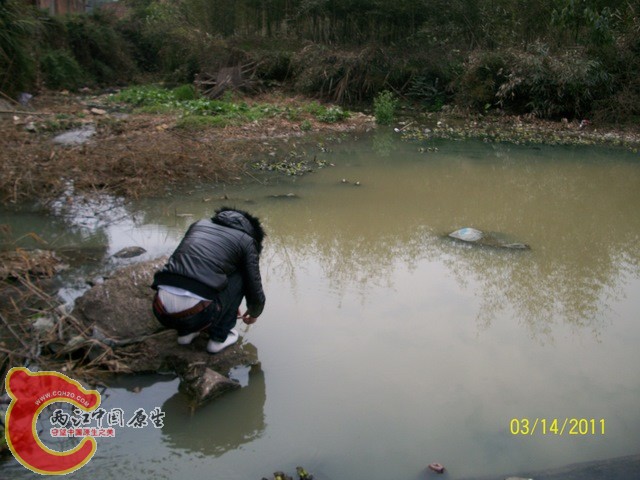 100_3791.jpg