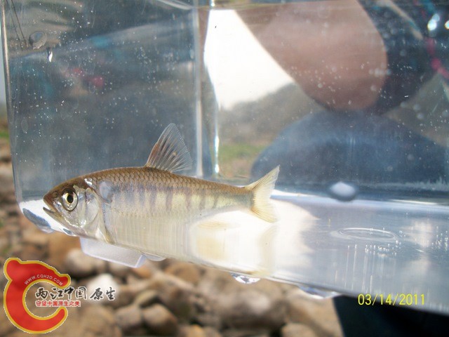 100_3795.jpg