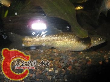 复件 照片 025.jpg