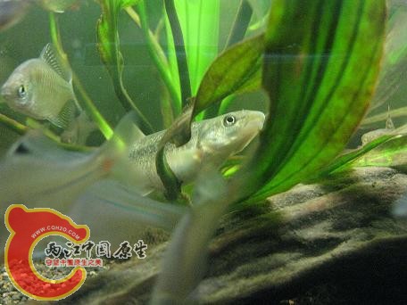 复件 照片 031.jpg