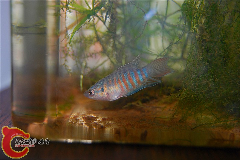 DSC_0024_副本.jpg