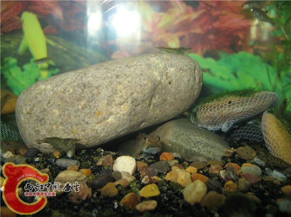 40x40 (40)_副本.jpg