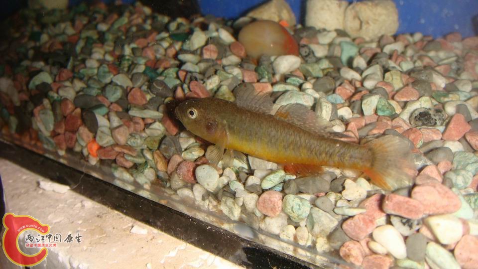 调整大小 DSC00041.JPG