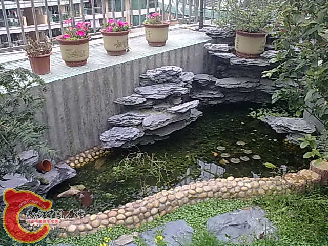 20110326067.jpg