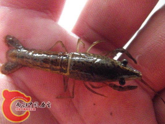 照片 2005986057.jpg