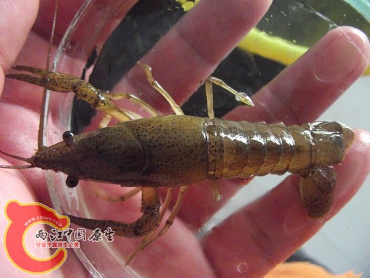 照片 2005986046.jpg