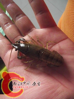 照片 2005986052.jpg