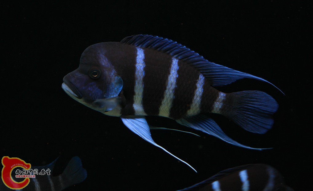 04.jpg