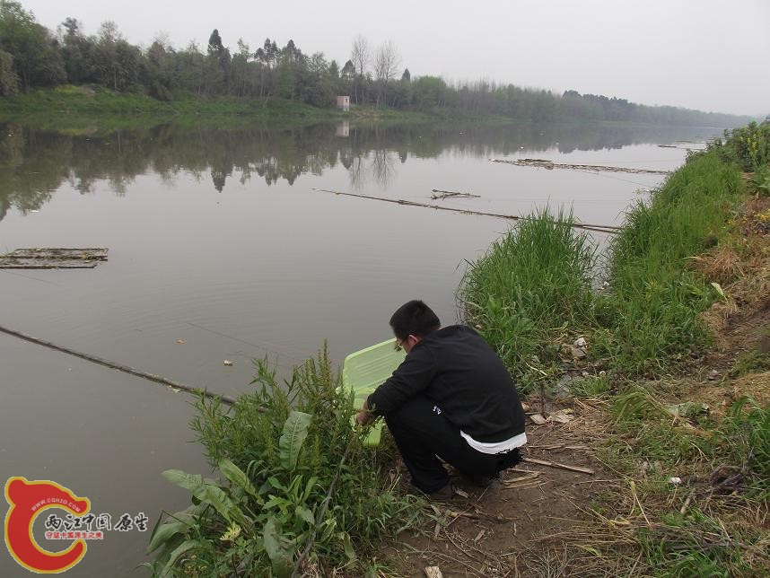 DSCF1931.JPG