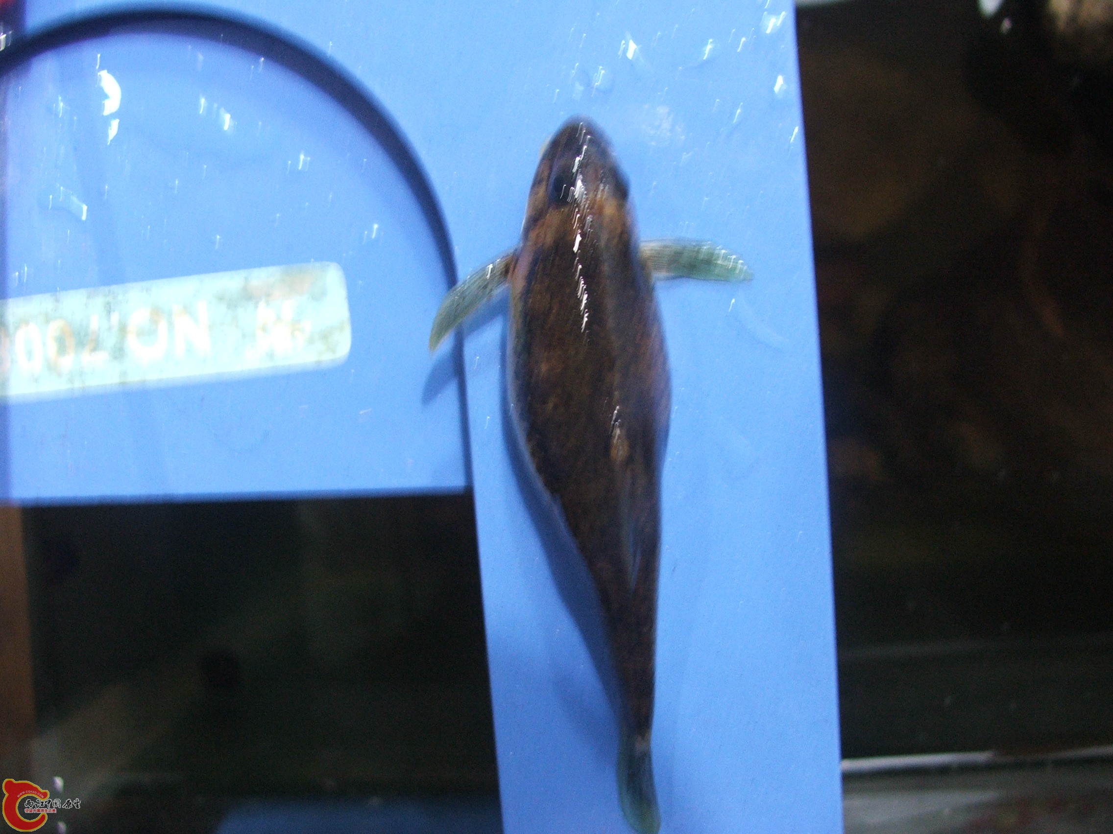 DSCF1548.JPG