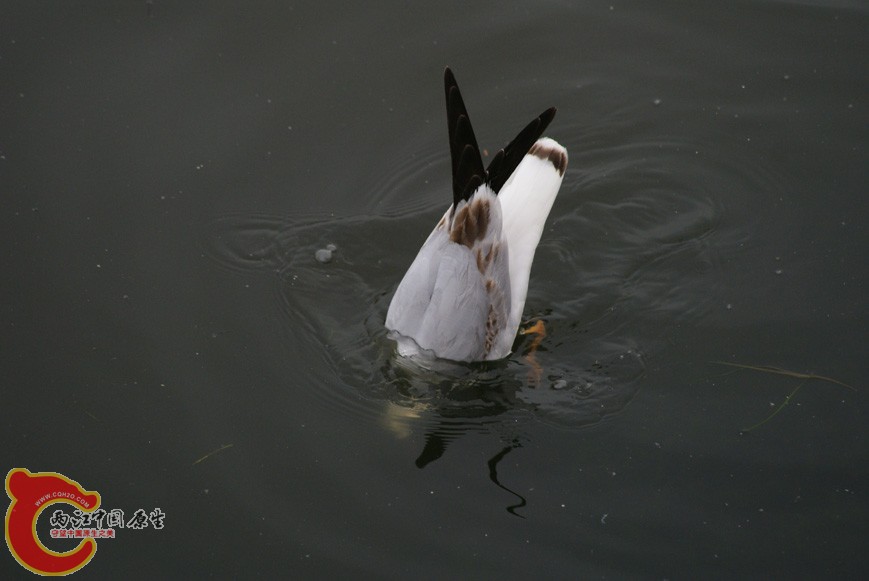DSC05346.jpg