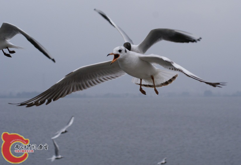 DSC05386.jpg