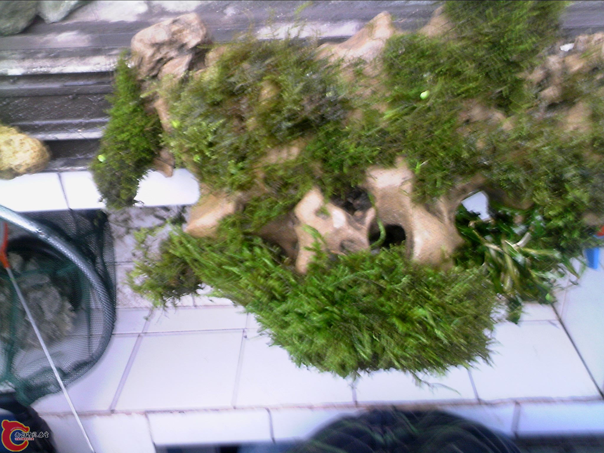 110402A004.jpg