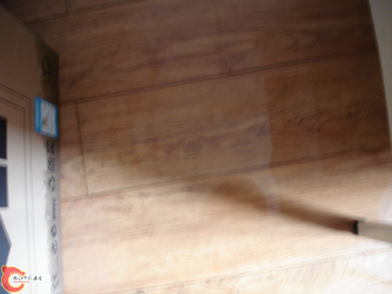 conew_dsc08945.jpg