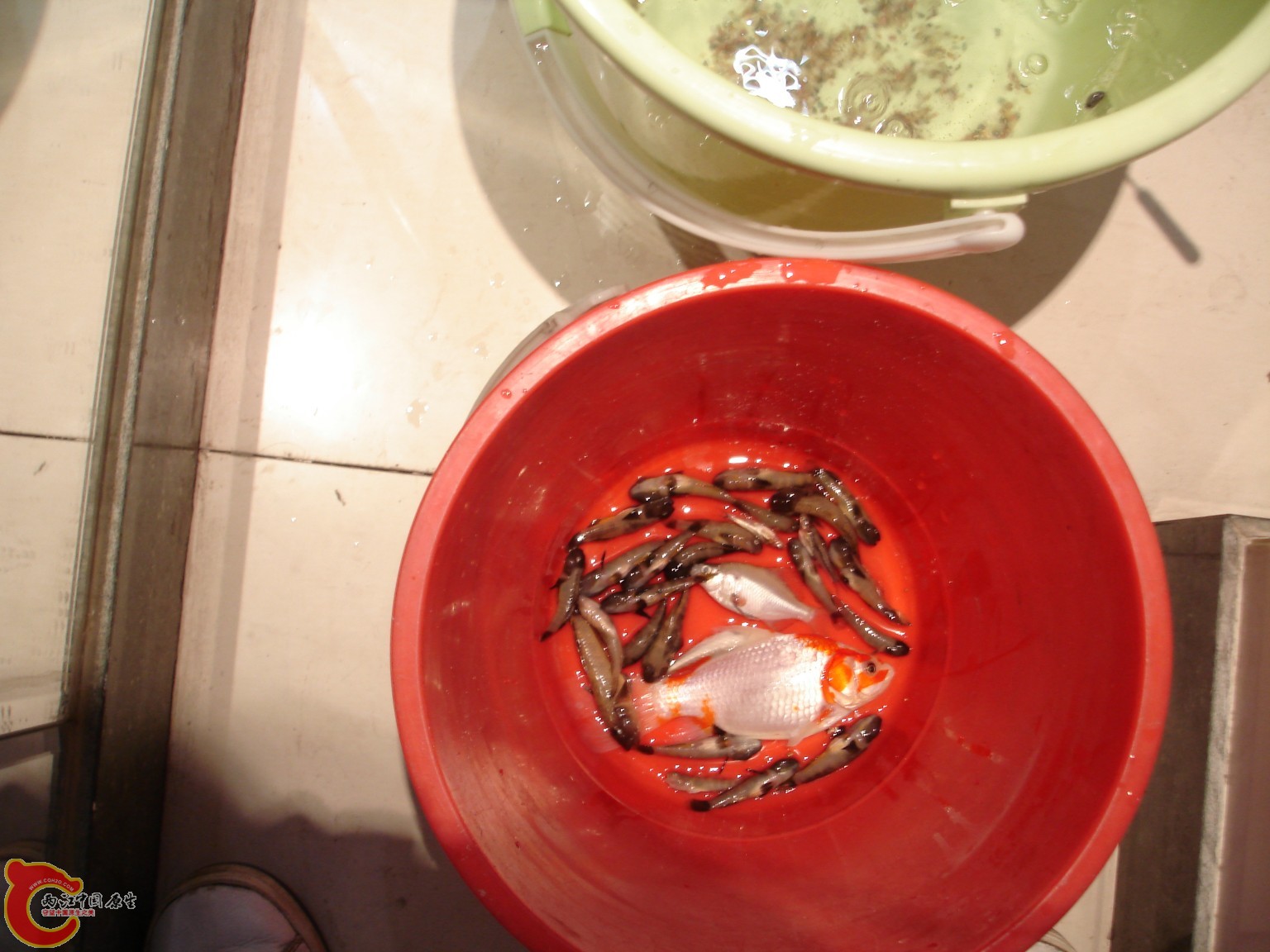 conew_dsc08948.jpg