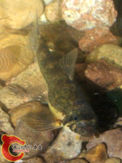 200906241459061.jpg