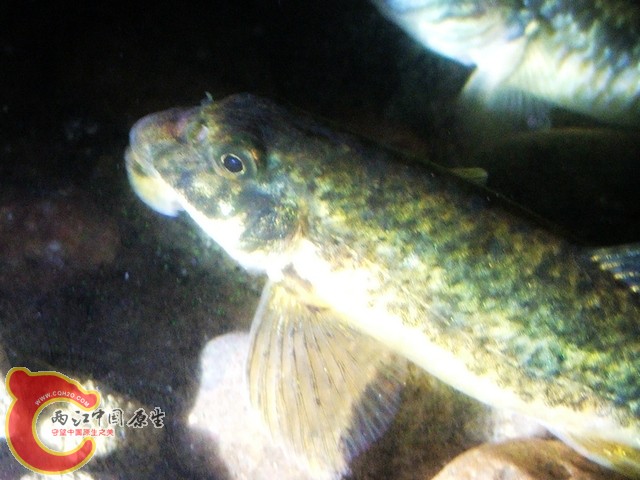 200922143334734.jpg